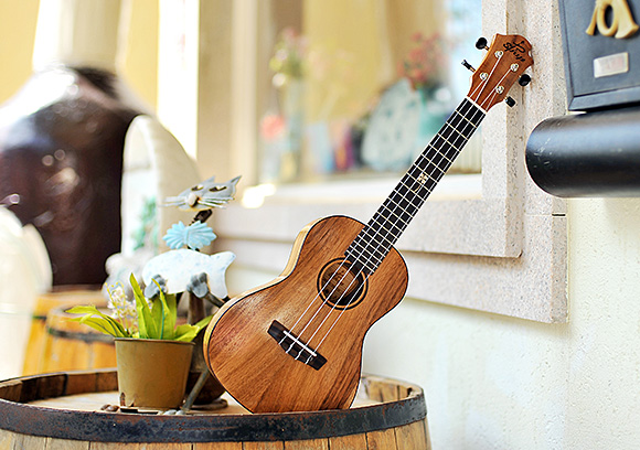 廣州心憶尤克里里