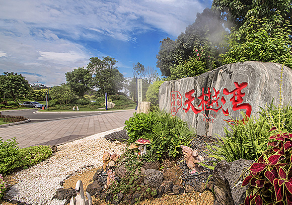 深圳東部天樾灣