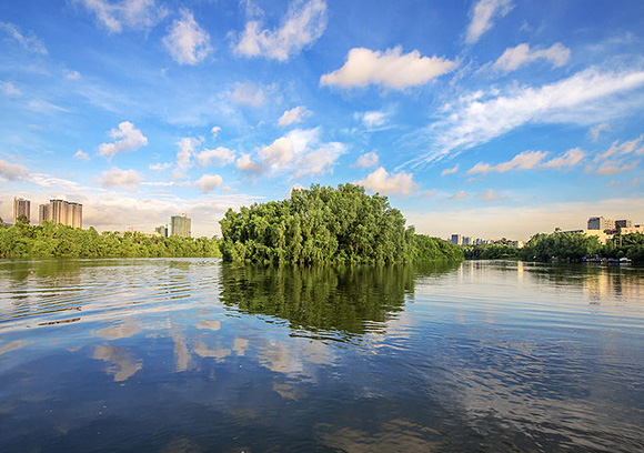 大亞灣紅樹林公園